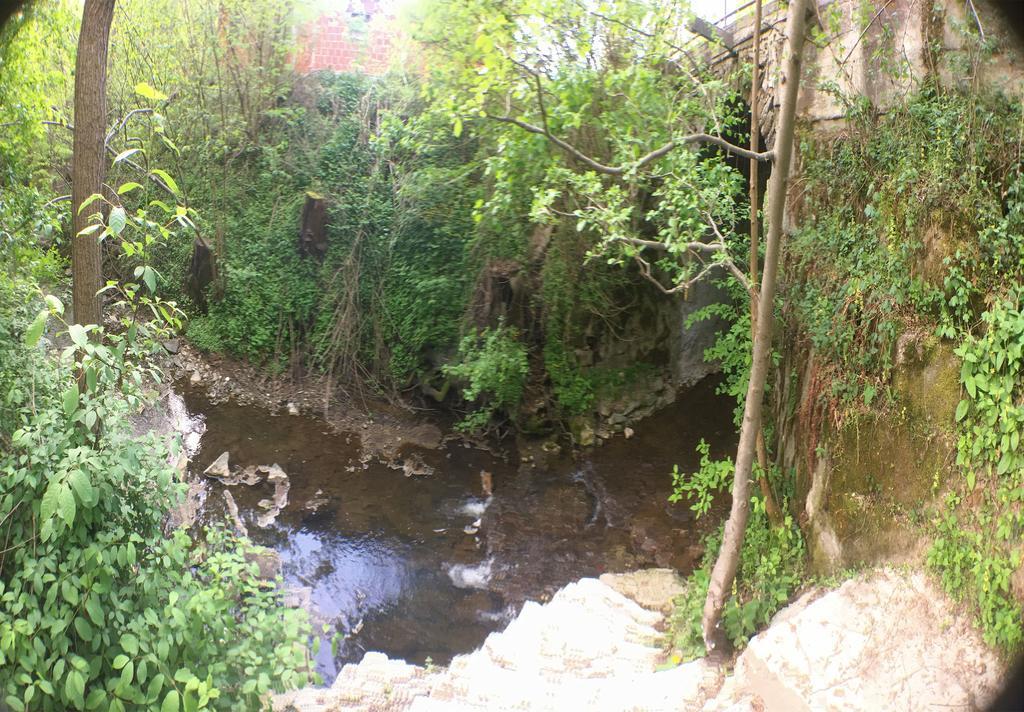 Blazic I Villa Maribor Dış mekan fotoğraf